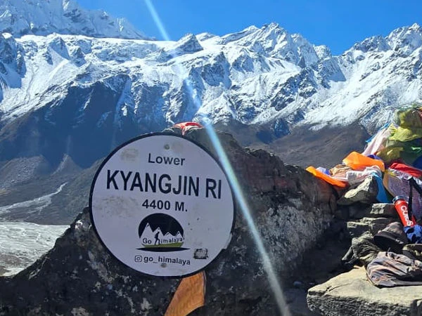 Langtang Valley Trekking Travel Guide: Tips, Local Insights, and Trail Details