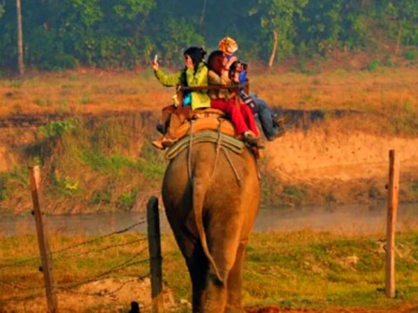 Exploring The Exotic Wildlife Of Chitwan National Park