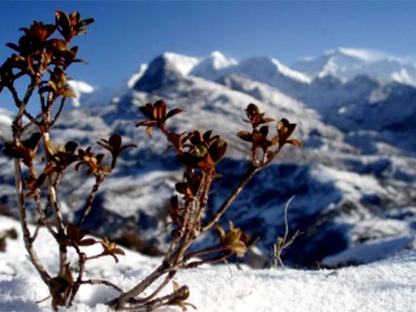 Adventerous Journey To The Remote Himalaya | Kanchenjunga Trek