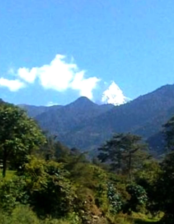 Other Trekking