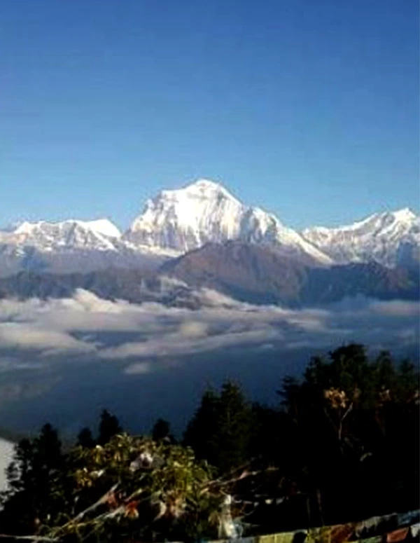 Short Trekking