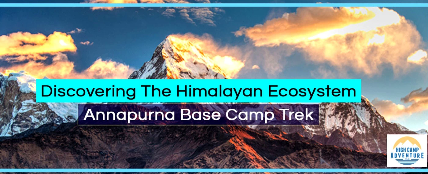 Discovering the Himalayan Ecosystem | Annapurna Base Camp Trek