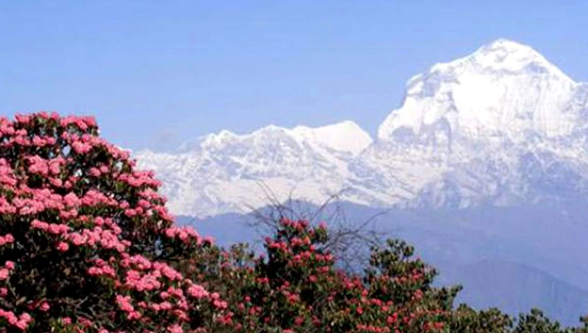 Dhaulagiri Expedition