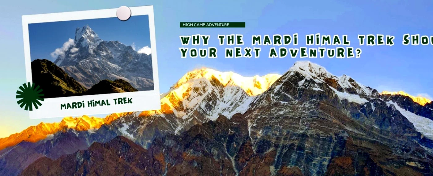 Why the Mardi Himal Trek Should Be Your Next Adventure