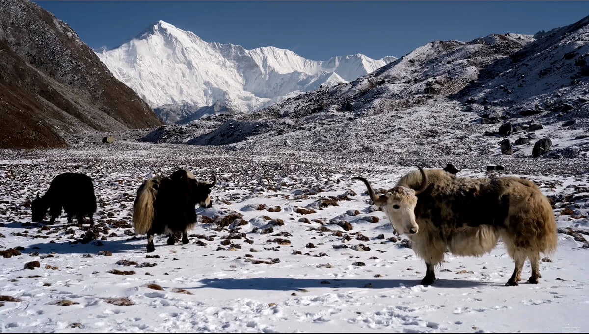 Mountain seen from Gokyo
