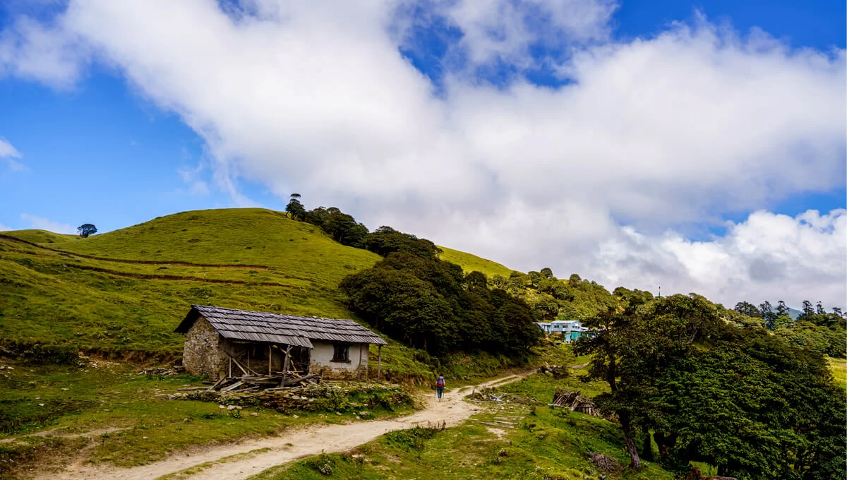 Pikey Peak Trek Trail