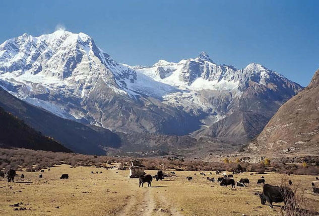 manaslu trek difficulty