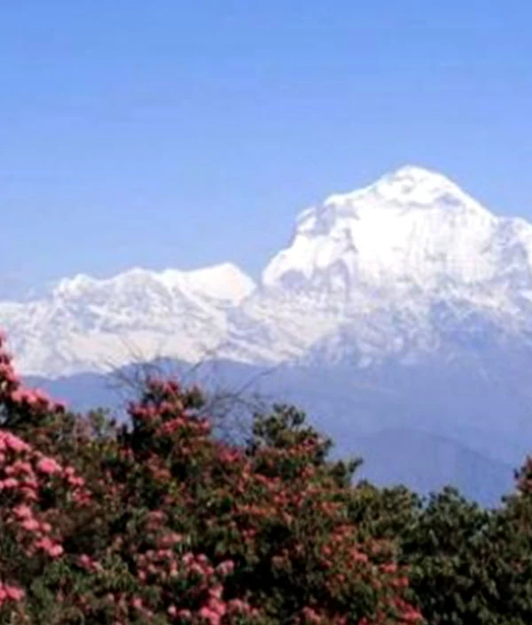 Dhaulagiri Expedition