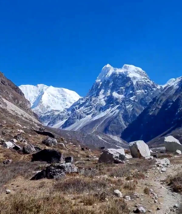 Langtang Circuit Trek